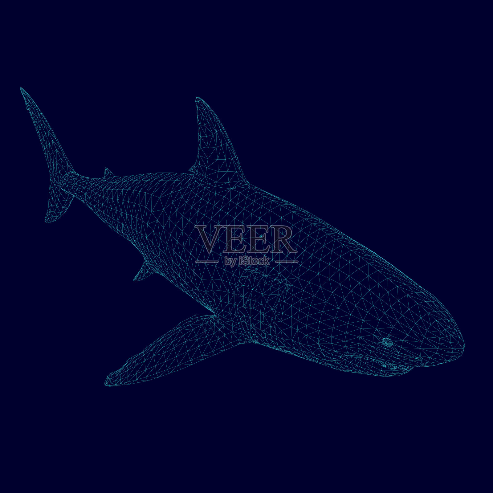 矢量多边形鲨鱼线框的蓝色线在一个黑暗的背景。等距视图。3 d。矢量图设计元素图片