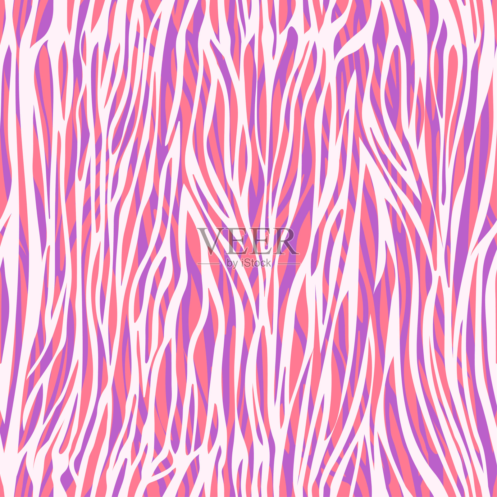 混乱不均匀的条纹抽象无缝图案，斑马纹，动物装饰，程式化的现代插画。鲜艳鲜艳的白紫粉交织成波浪。壁纸、织物插画图片素材