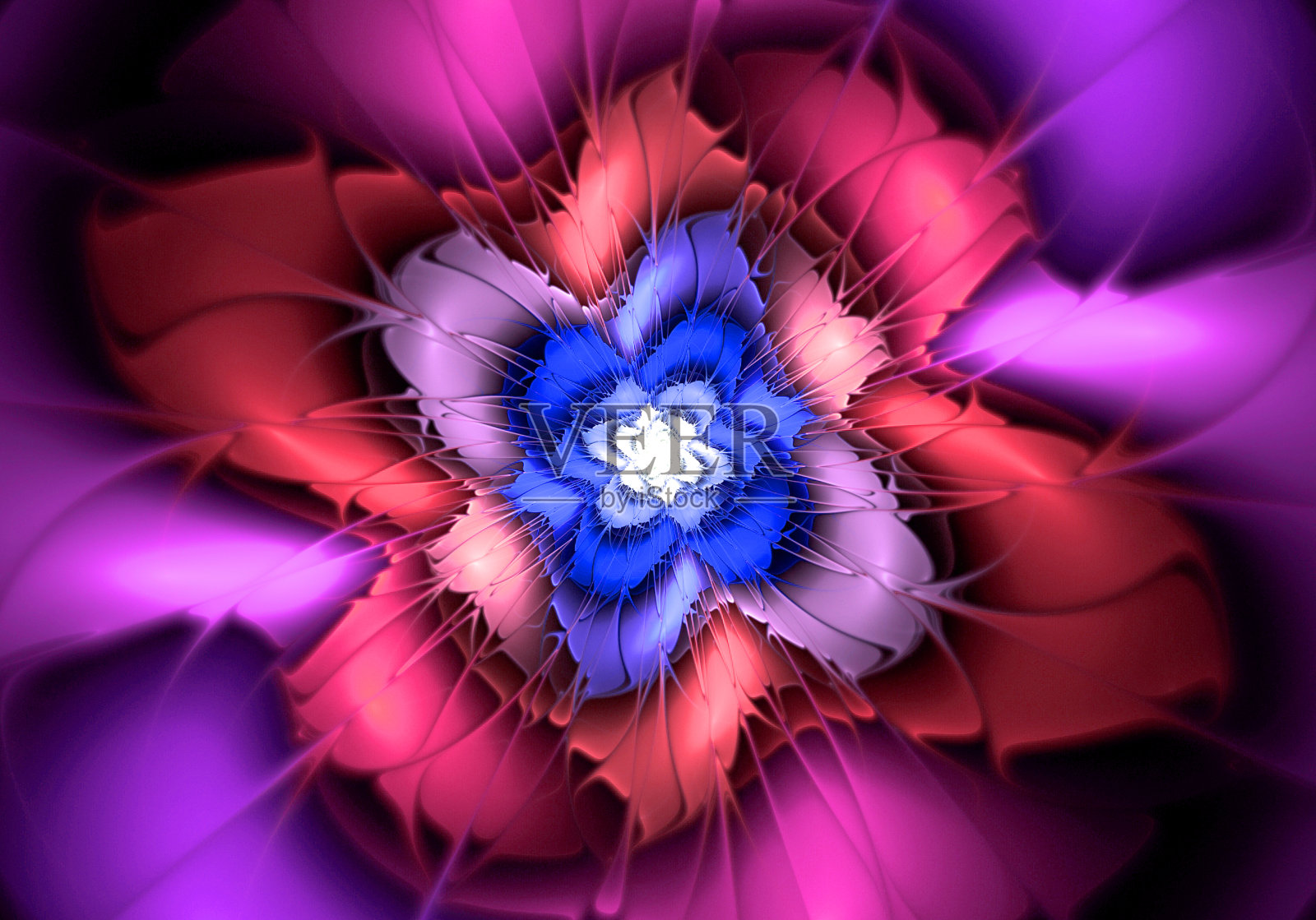 抽象花计算生成黑色背景上的图像照片摄影图片