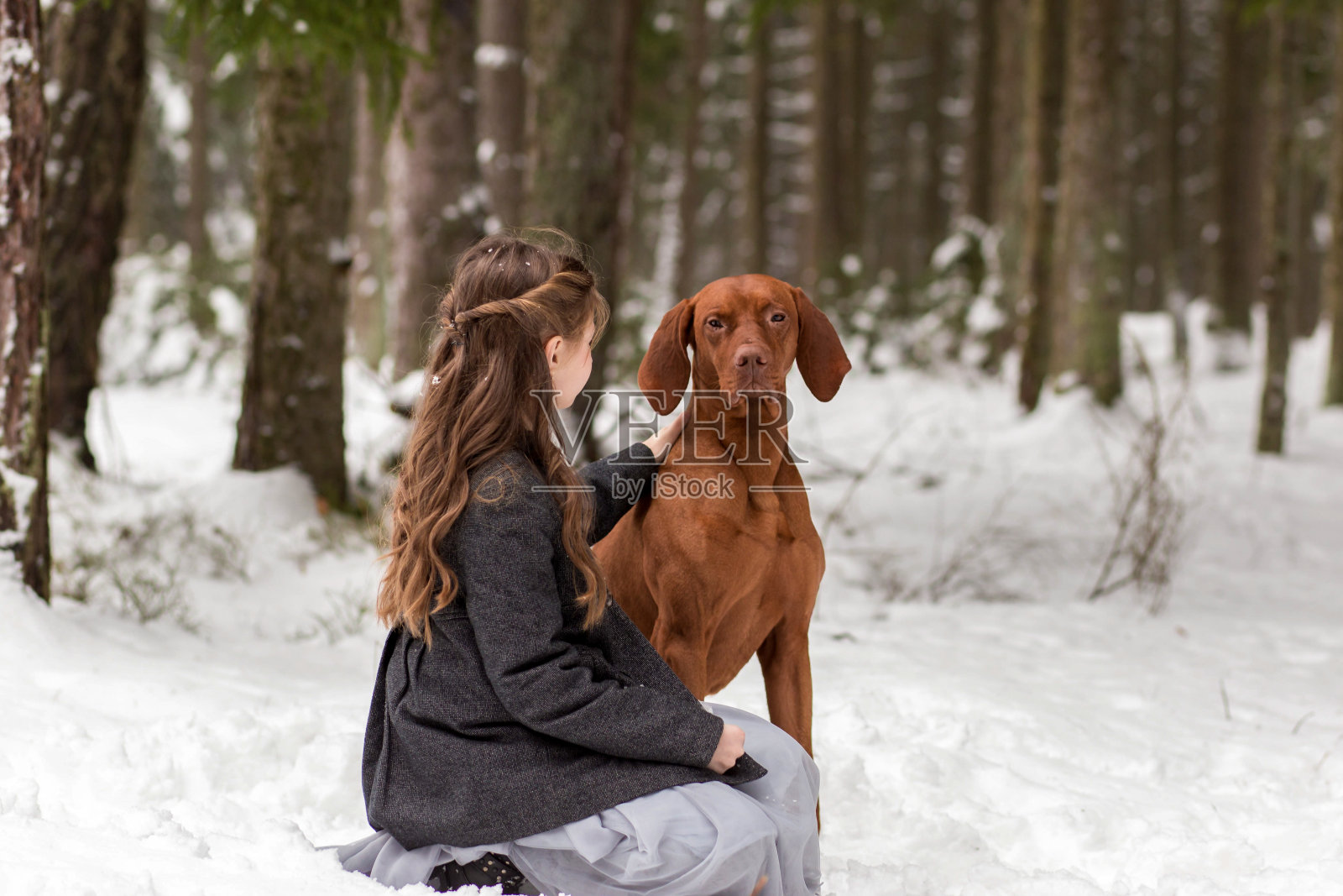 女孩和棕色的狗在大自然的冬天照片摄影图片