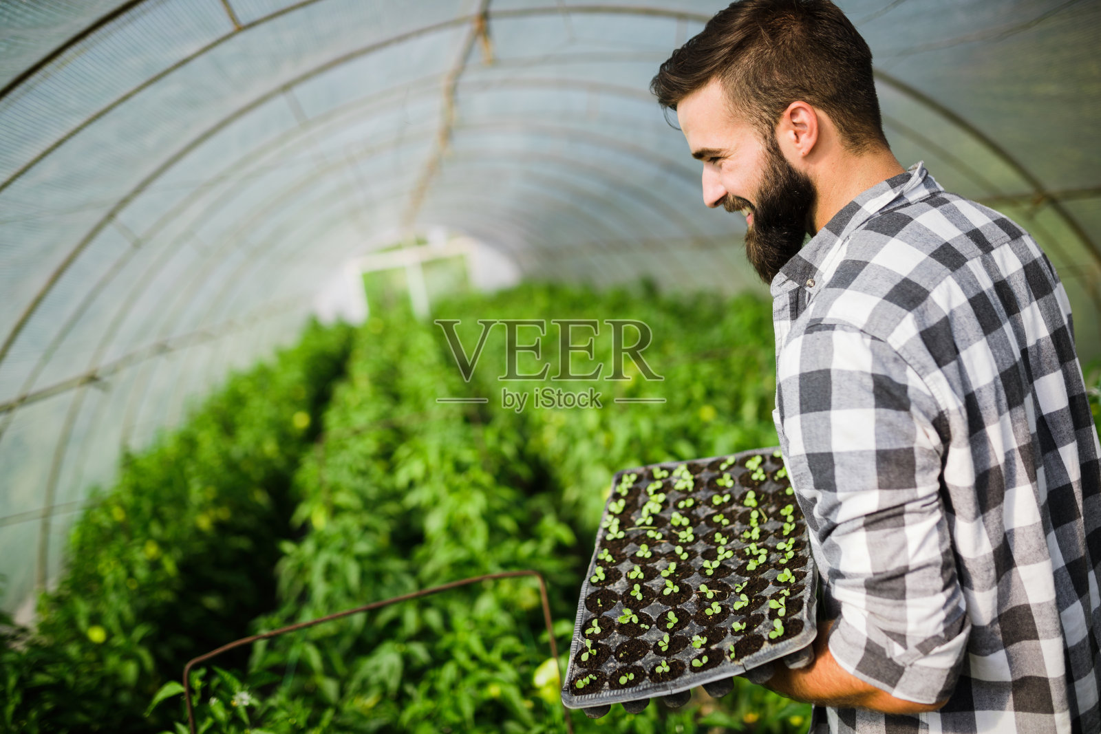 年轻人抱着一株绿色的小植物照片摄影图片