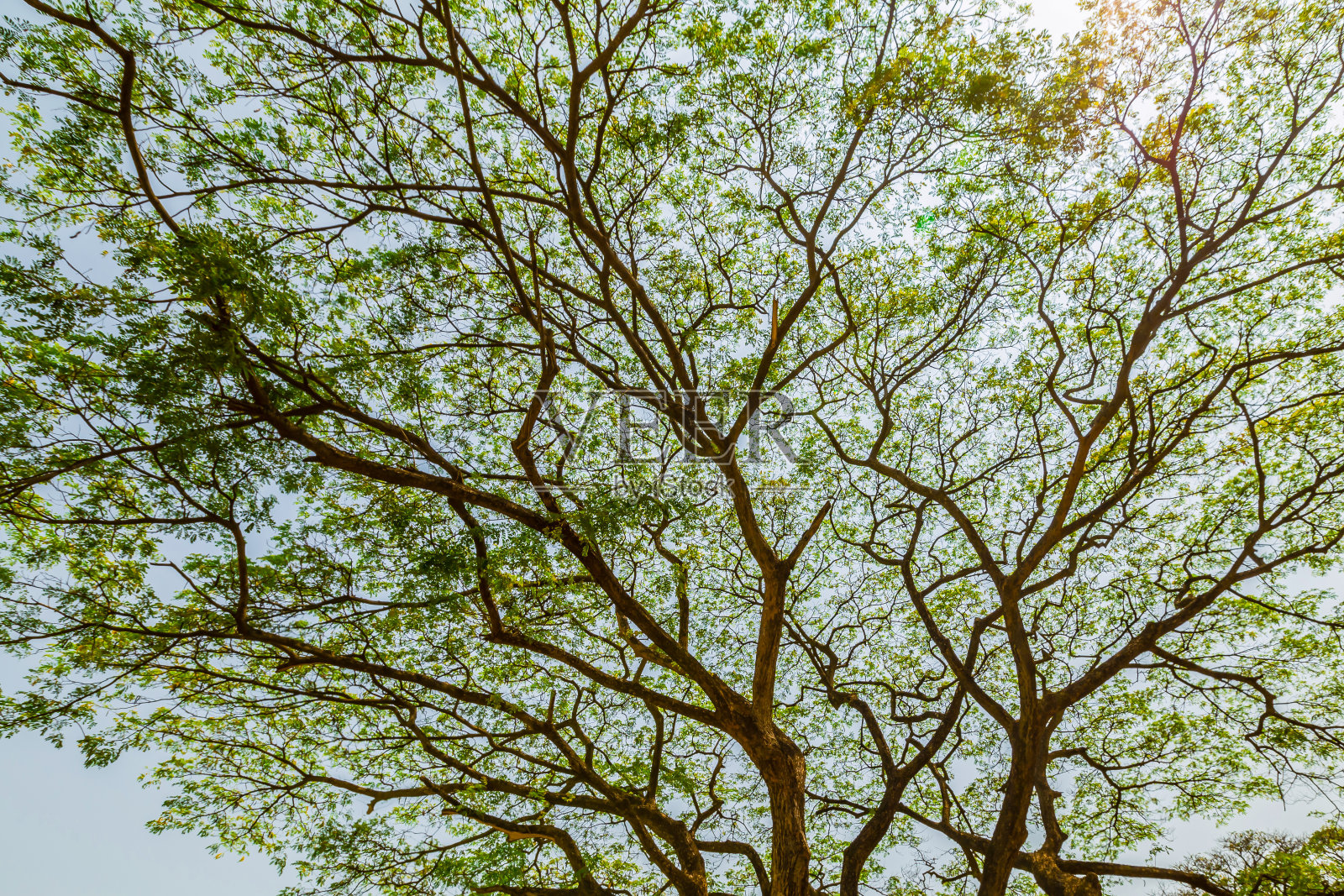 素可泰历史公园的正午和黄昏照片摄影图片