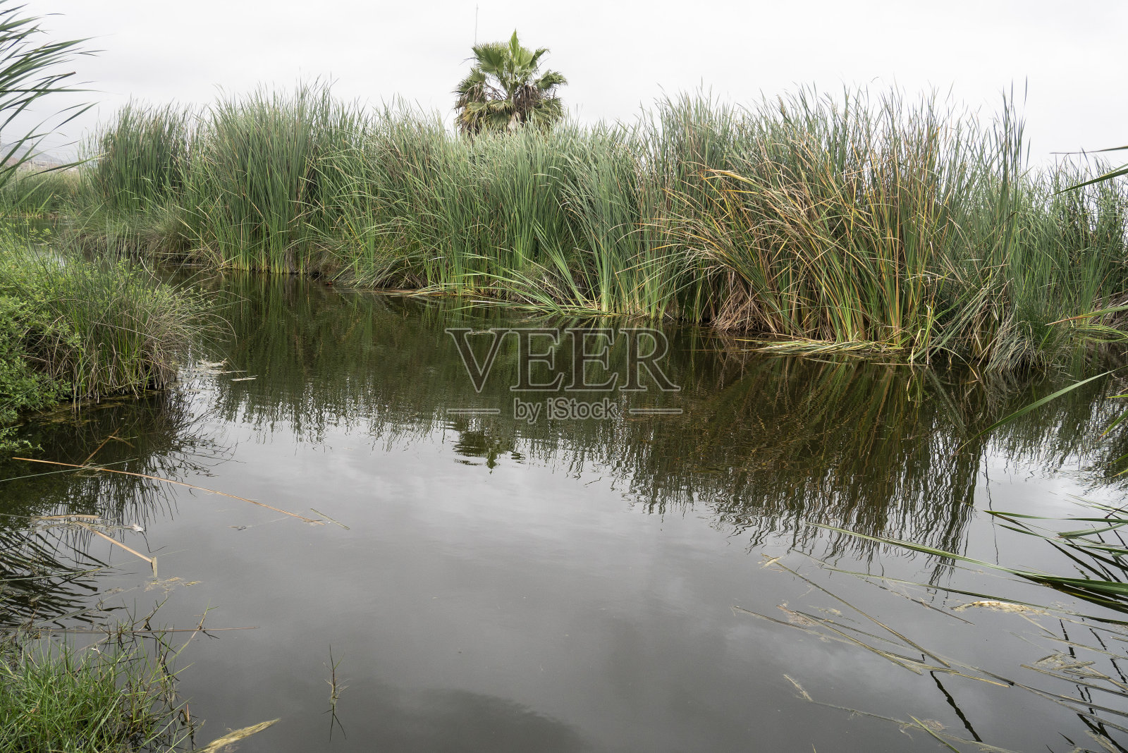 -乔里洛斯-利马-佩雷照片摄影图片