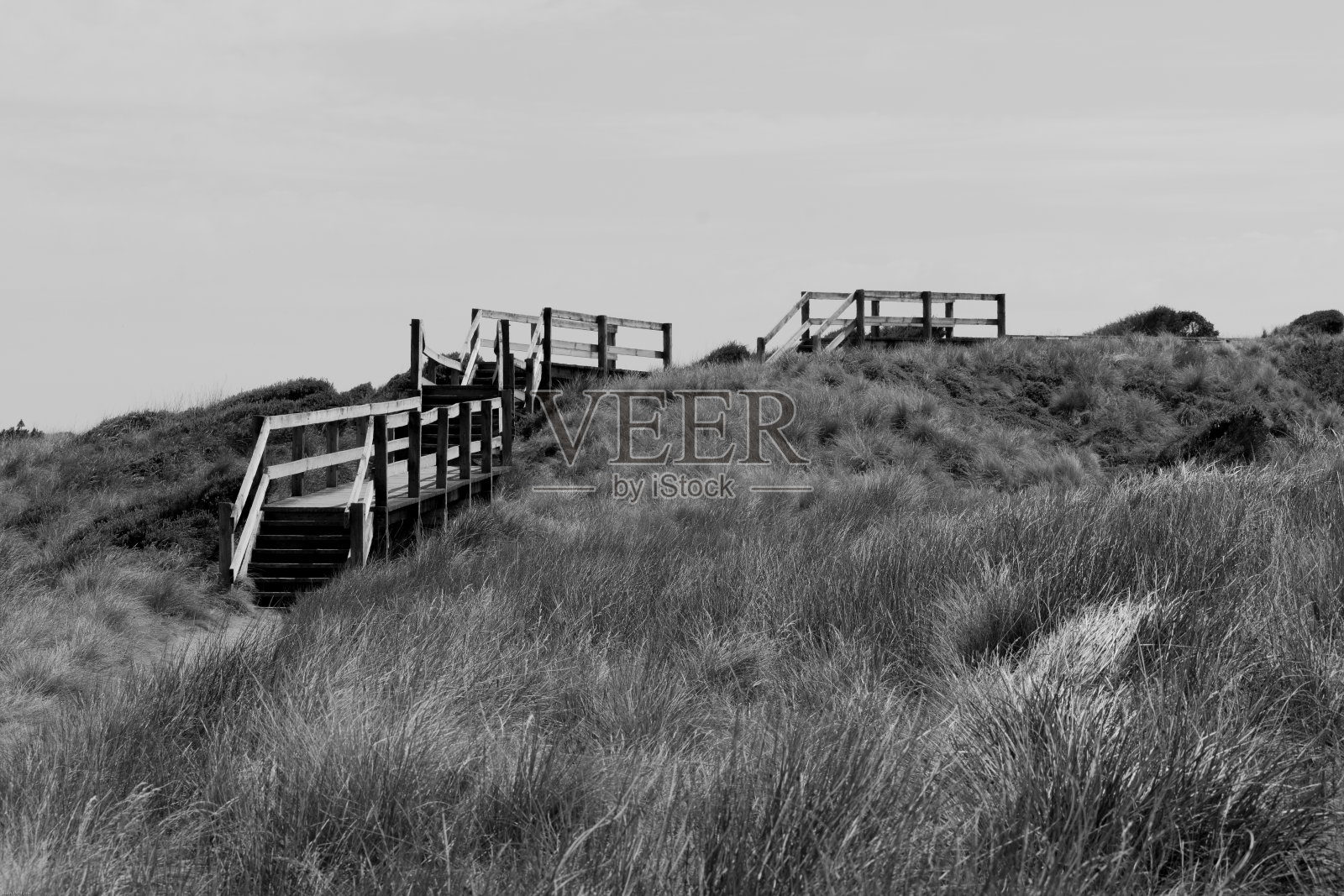 菲利普岛照片摄影图片