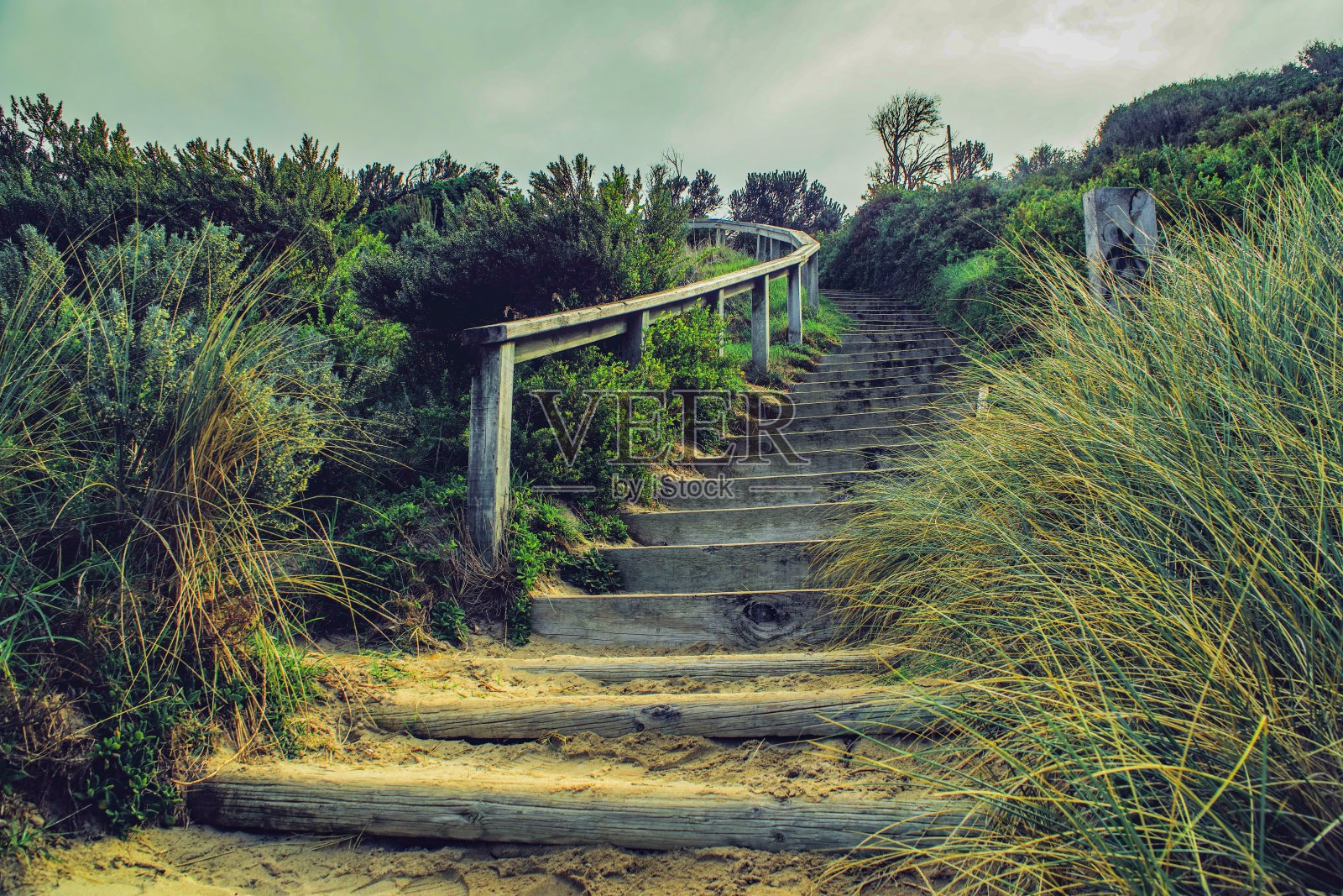 澳大利亚奇妙的内陆照片摄影图片