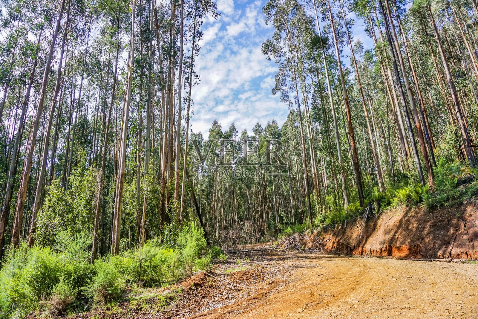 澳大利亚奇妙的内陆照片摄影图片