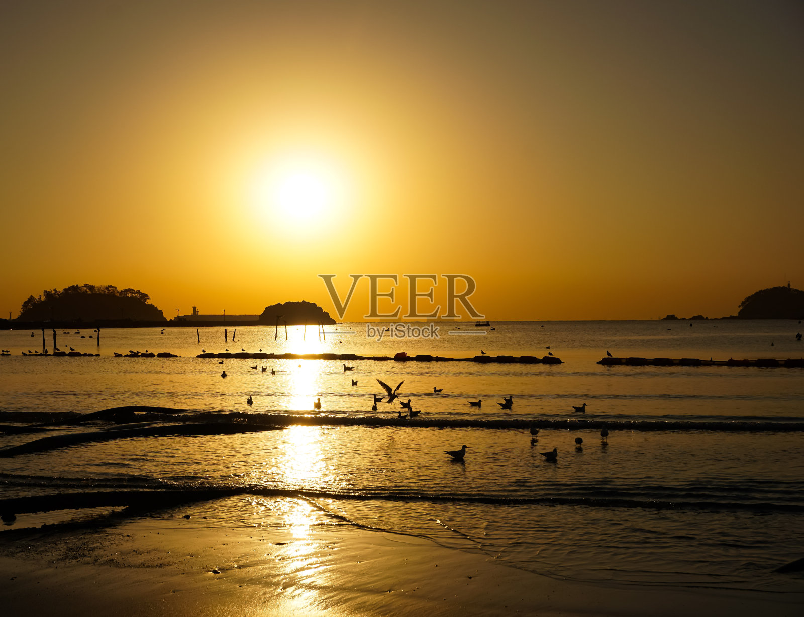 日出照片摄影图片