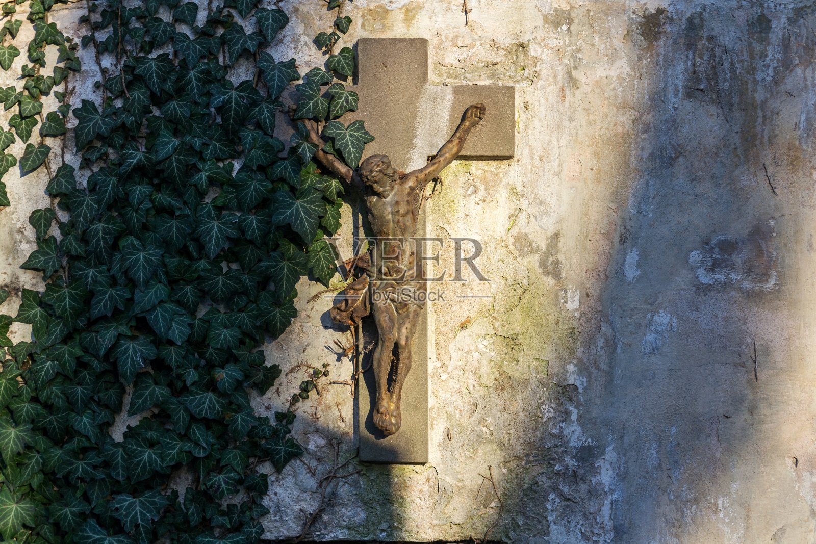 美丽生锈的耶稣基督十字架雕像在日落部分覆盖普通常春藤，hedera螺旋在老墙上，奥尔萨尼墓地，捷克共和国，阳光灿烂的一天日落照片摄影图片