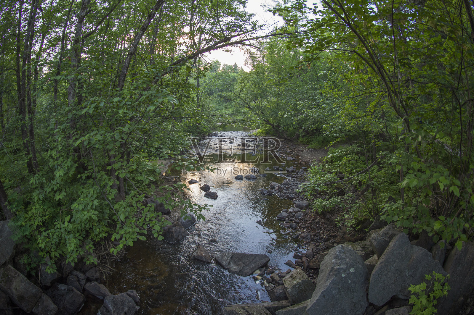 小波士顿河照片摄影图片