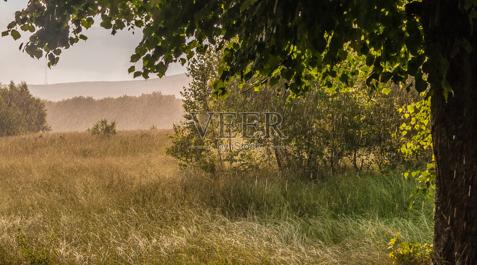 喀尔巴阡的夏天照片摄影图片