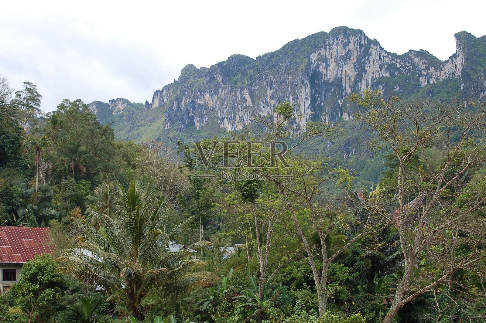 村庄，塔纳托拉雅照片摄影图片