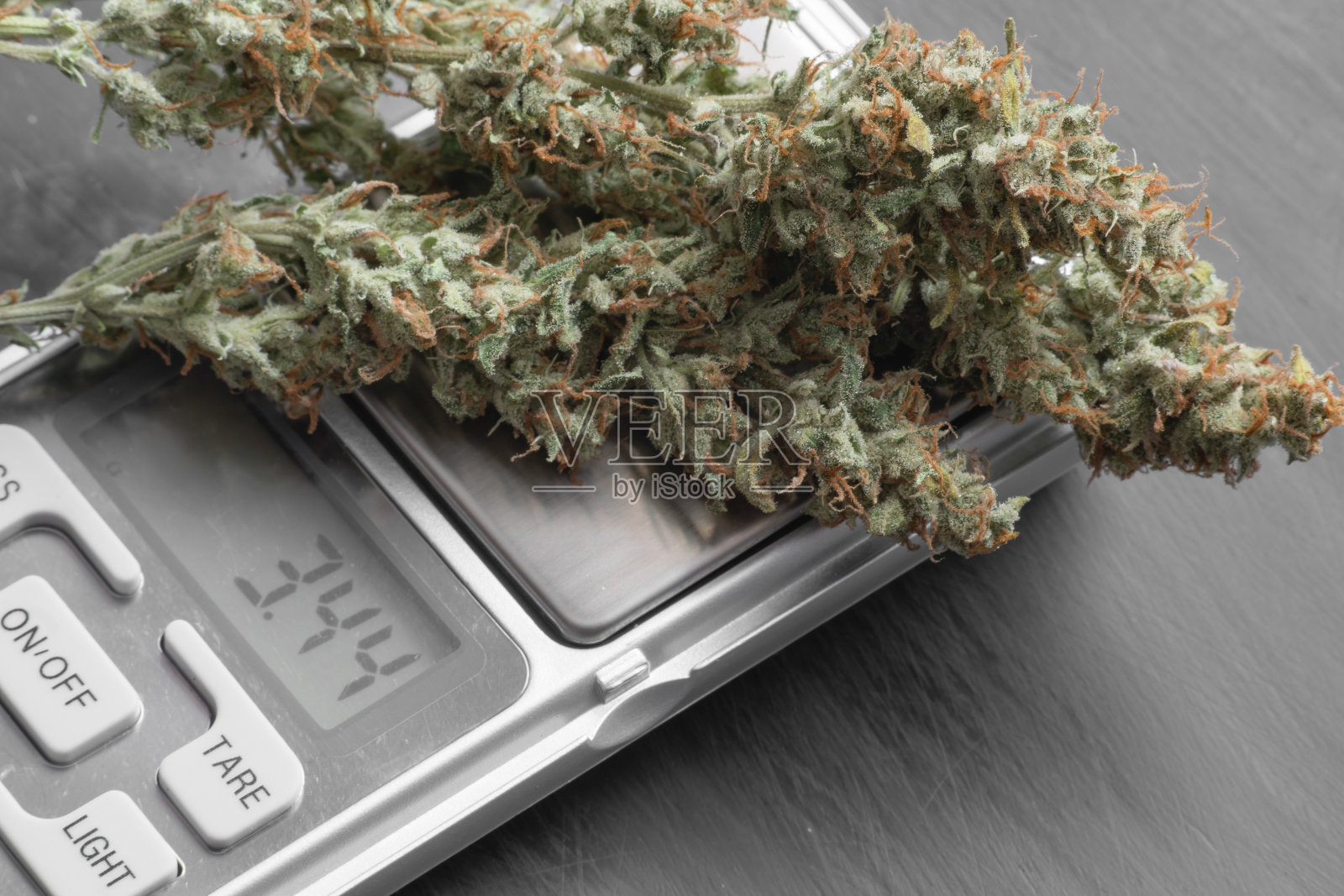 大麻芽的微距镜头照片摄影图片