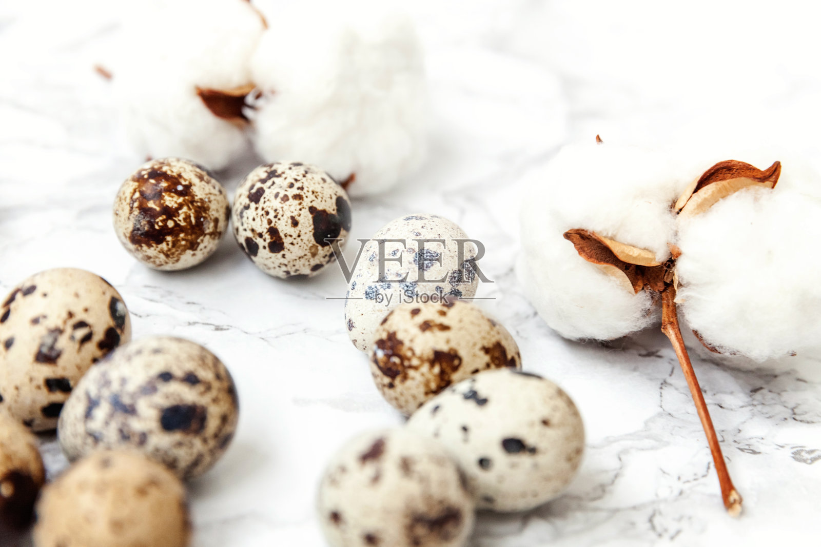 复活节装饰用鸡蛋和棉花在白色大理石的背景照片摄影图片