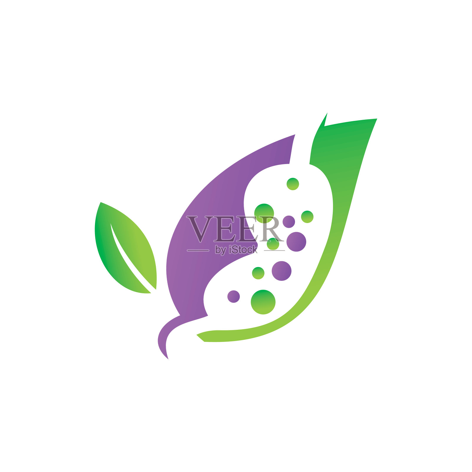 叶片设计矢量模板插画图片素材