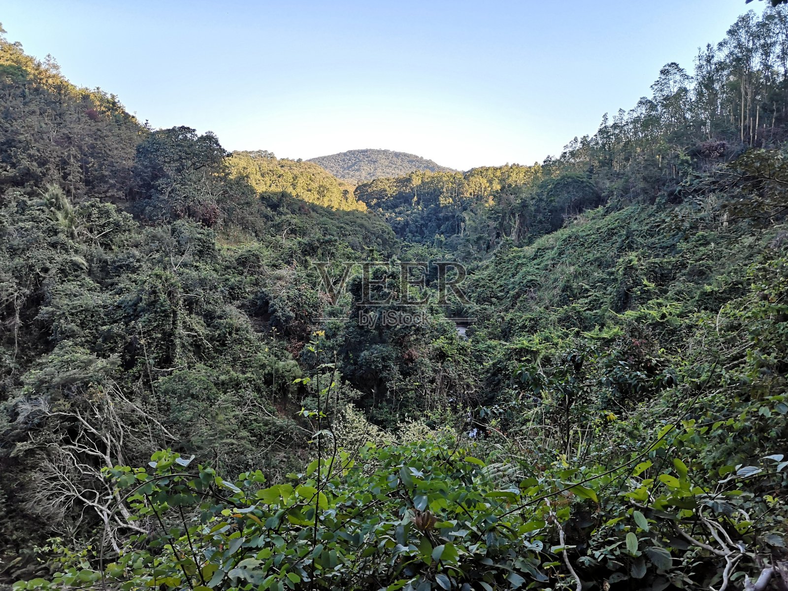 香港新界八仙岭郊野公园景观照片摄影图片