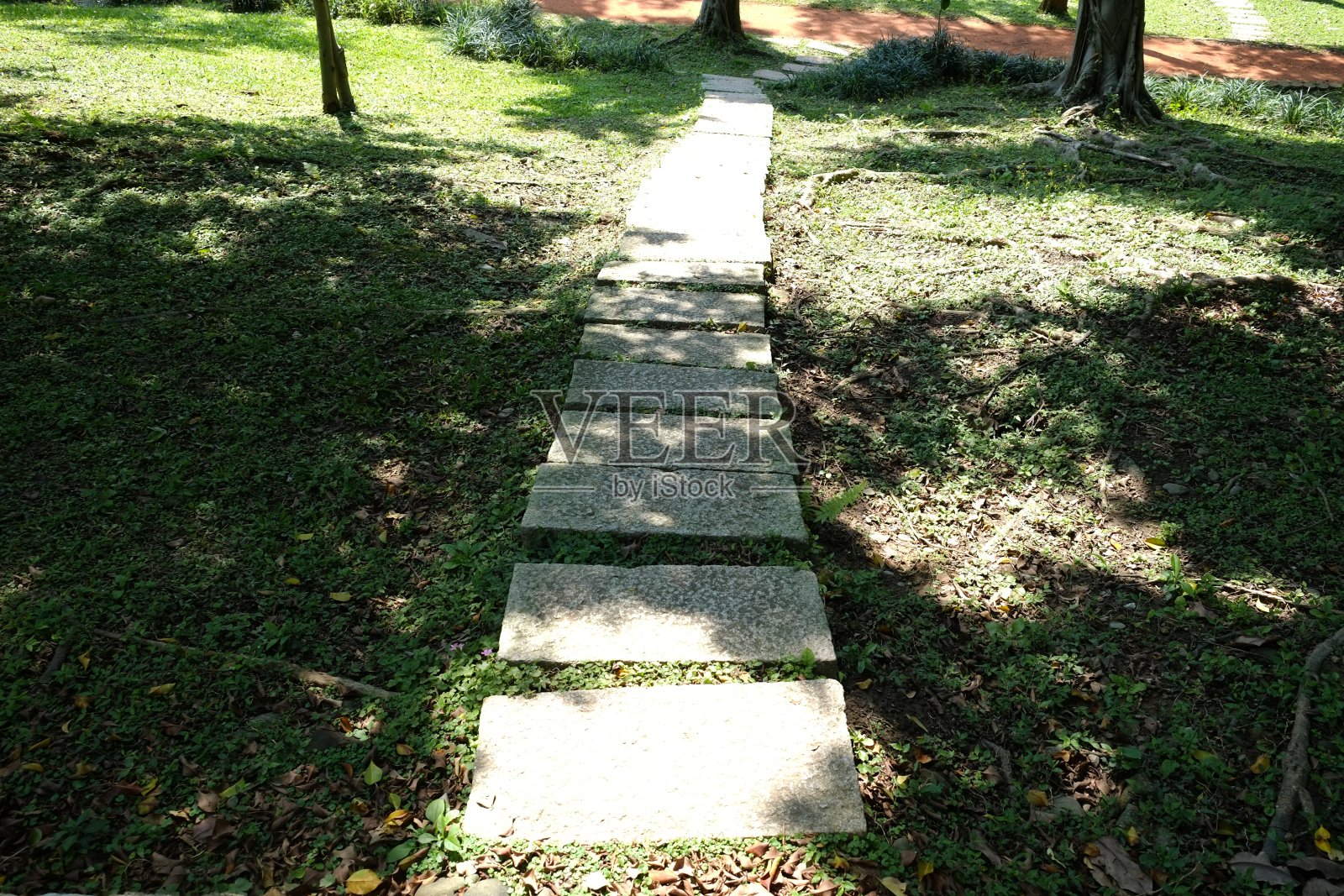 公园里的小路。亚洲的自然风光。照片摄影图片