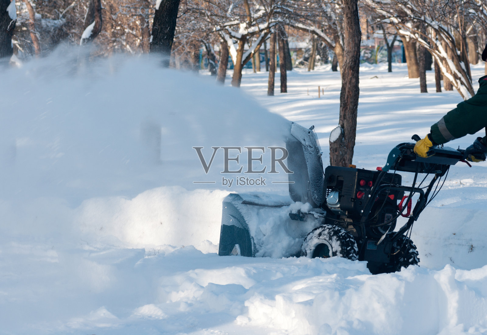 公园里的除雪照片摄影图片