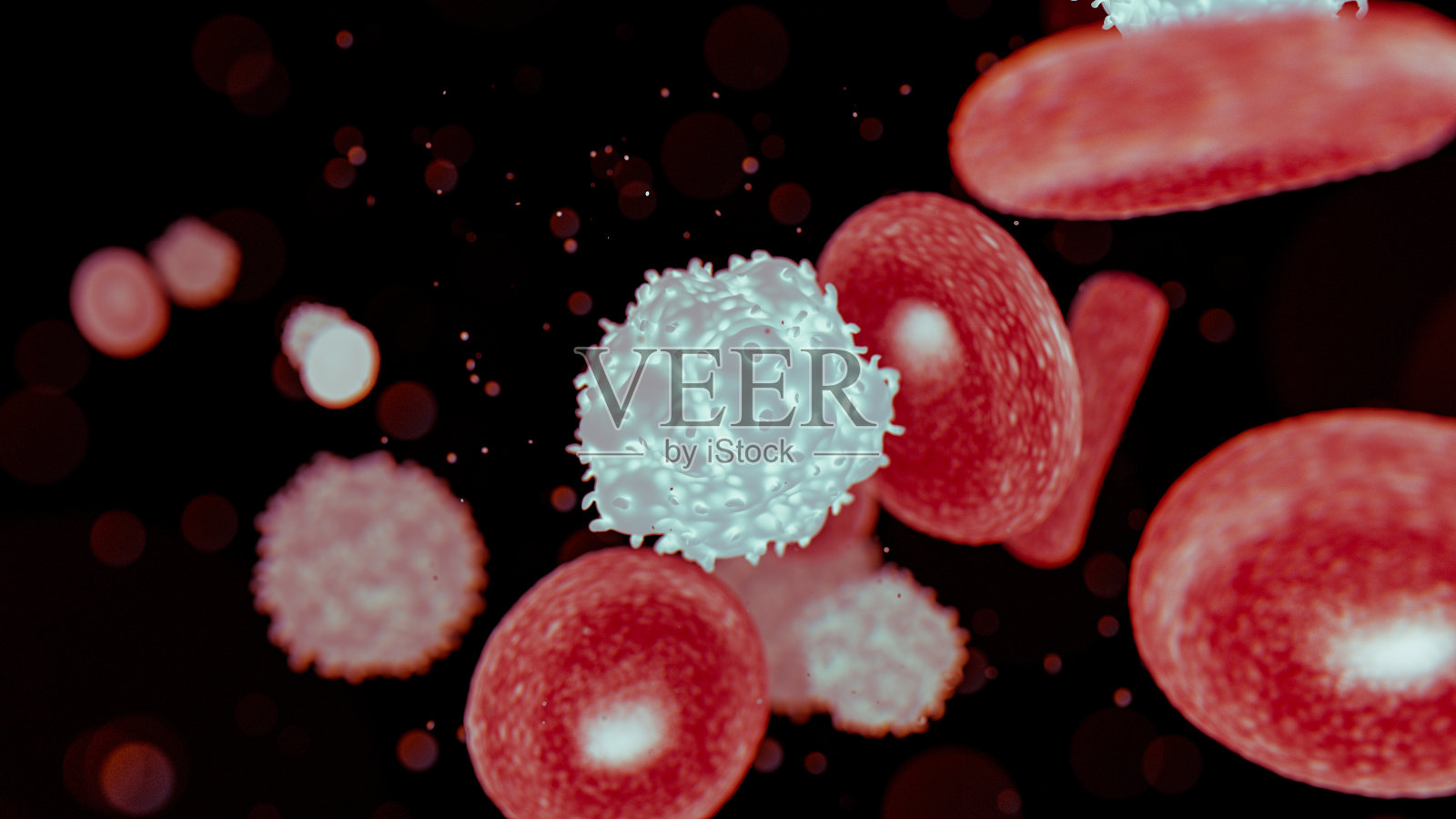 血细胞照片摄影图片