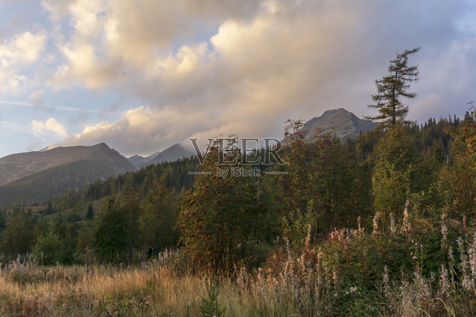 斯洛伐克高地塔特拉斯山间小道上的傍晚风景。照片摄影图片