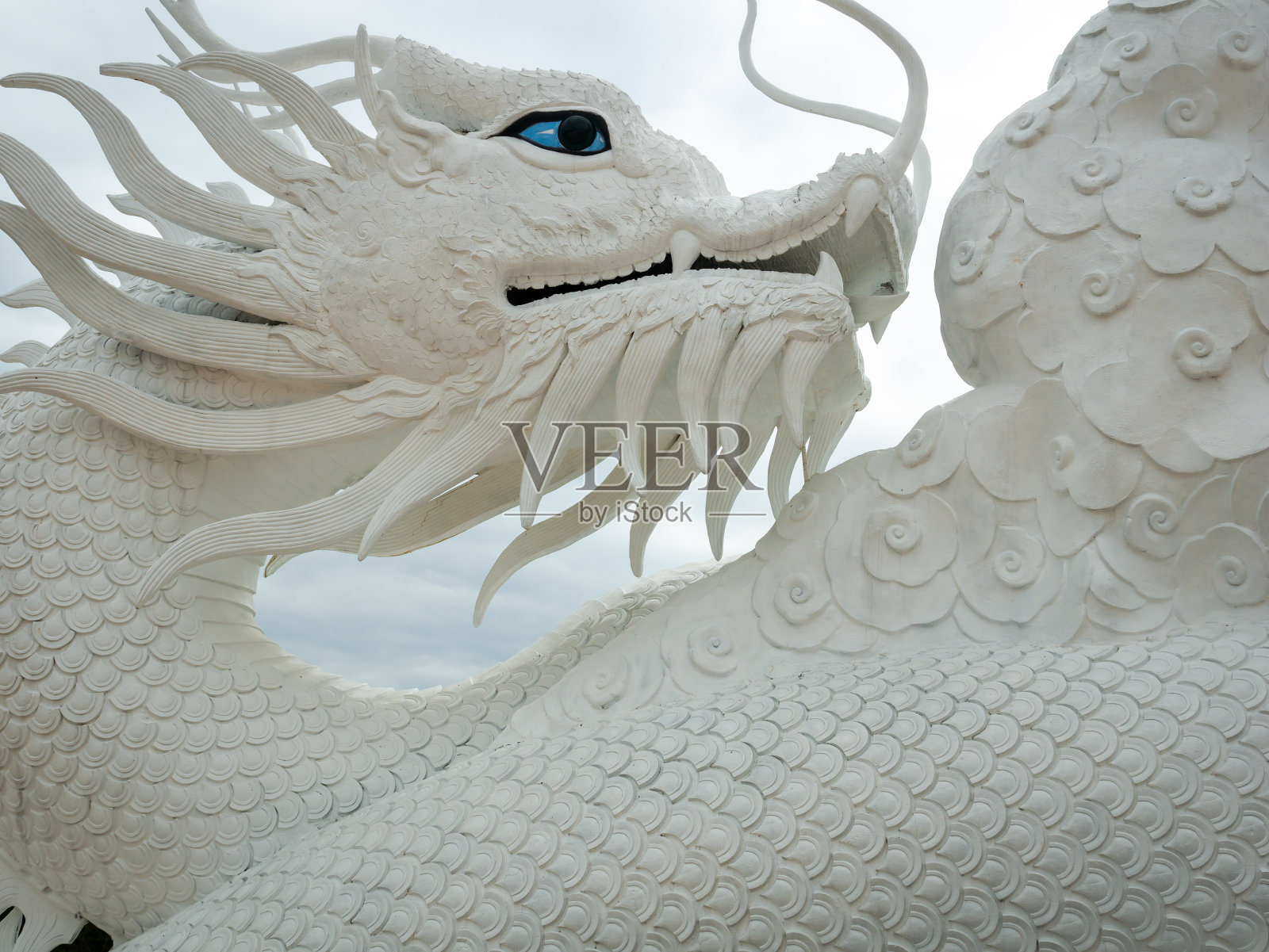 白龙头图案照片摄影图片