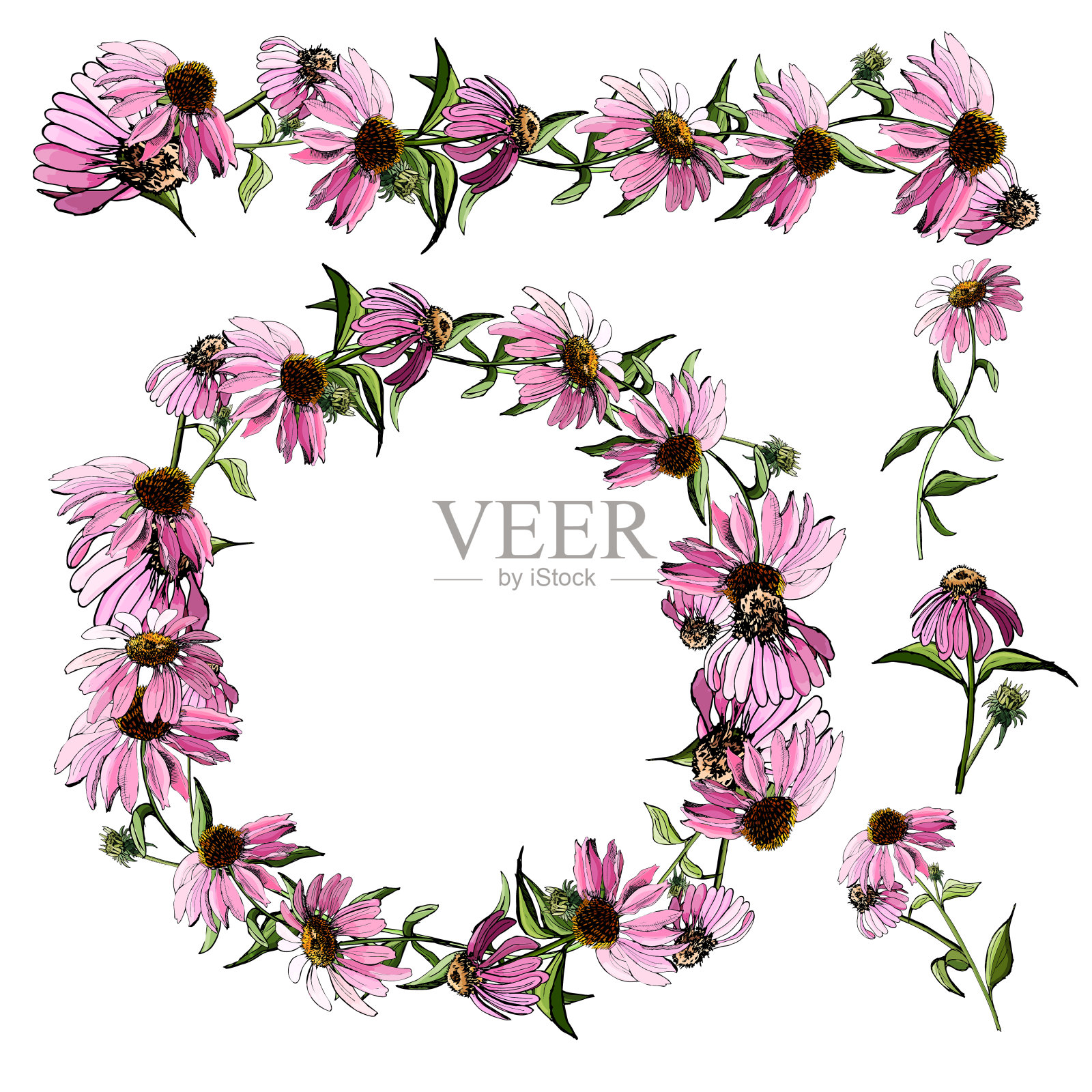 圈花环和刷粉红色的紫锥菊花。手绘草图。贺卡、请柬、横幅的设计元素。插画图片素材