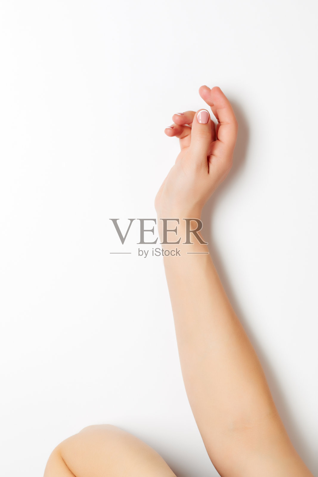 女人的手白。照片摄影图片