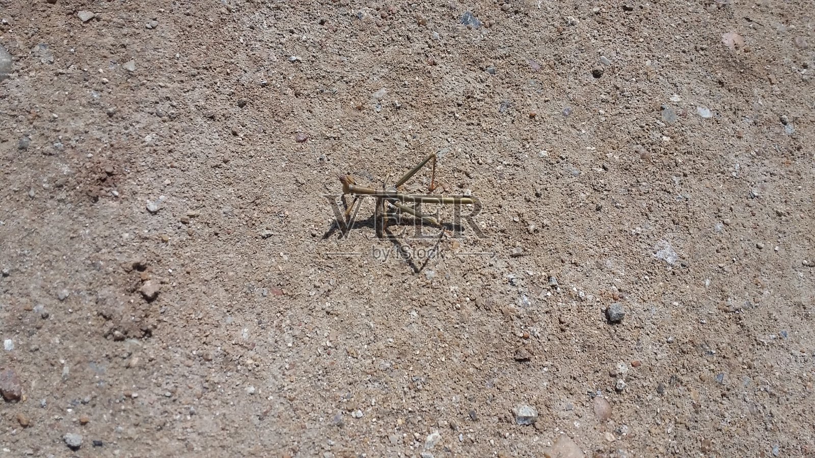 卢瓦神照片摄影图片