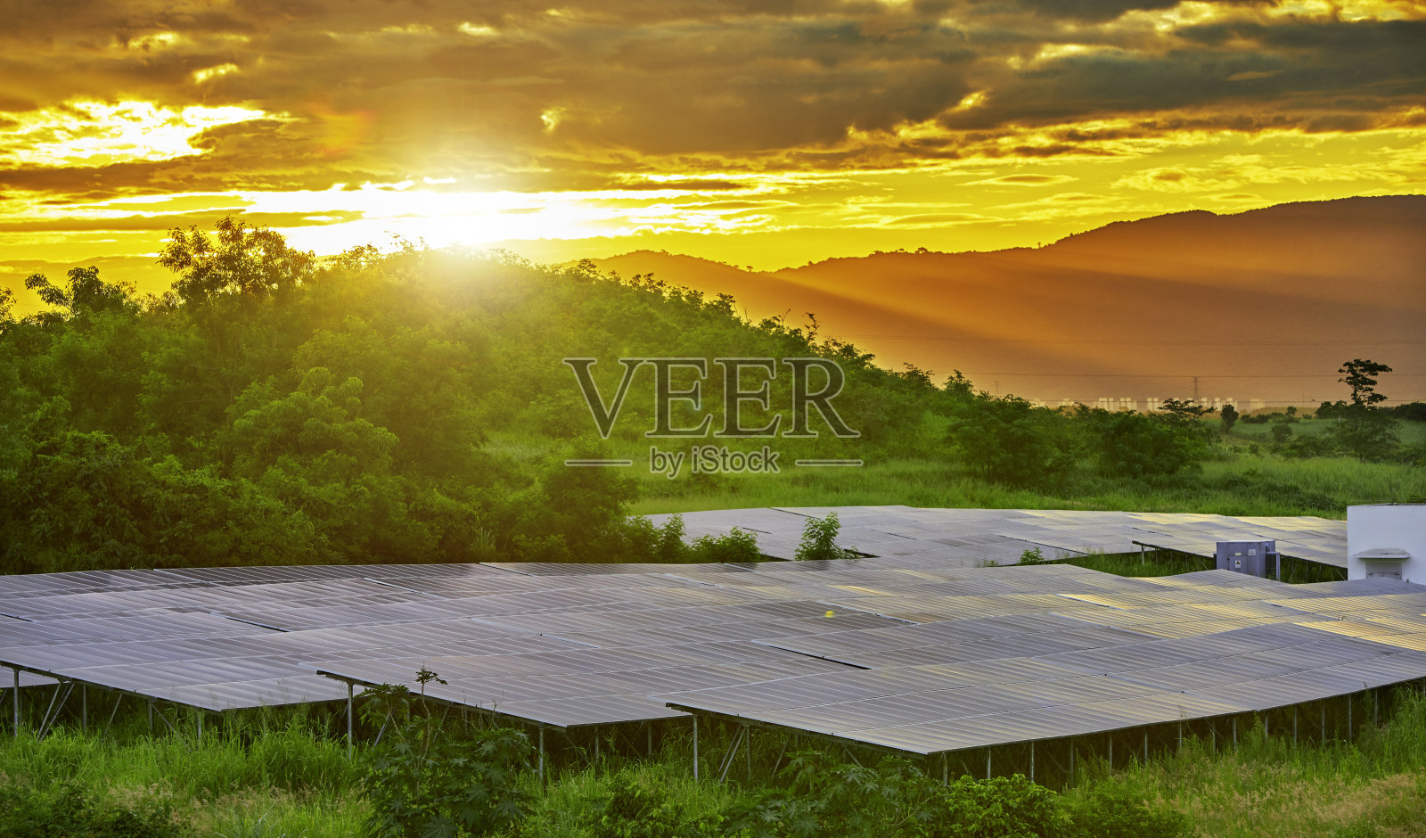 夕阳下的太阳能光伏板照片摄影图片