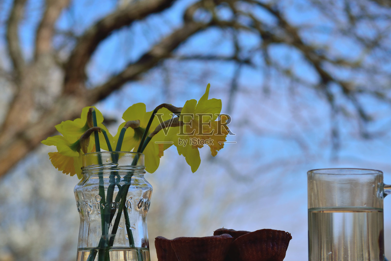 水仙花在罐子里照片摄影图片