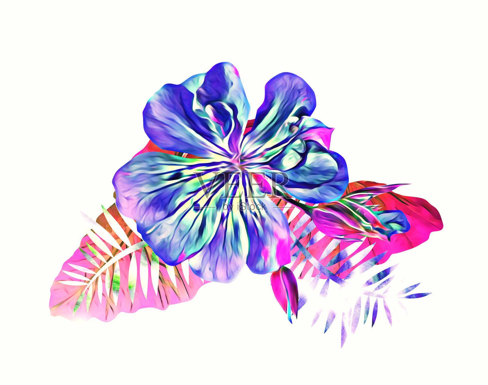 异国花束模板。插画图片素材