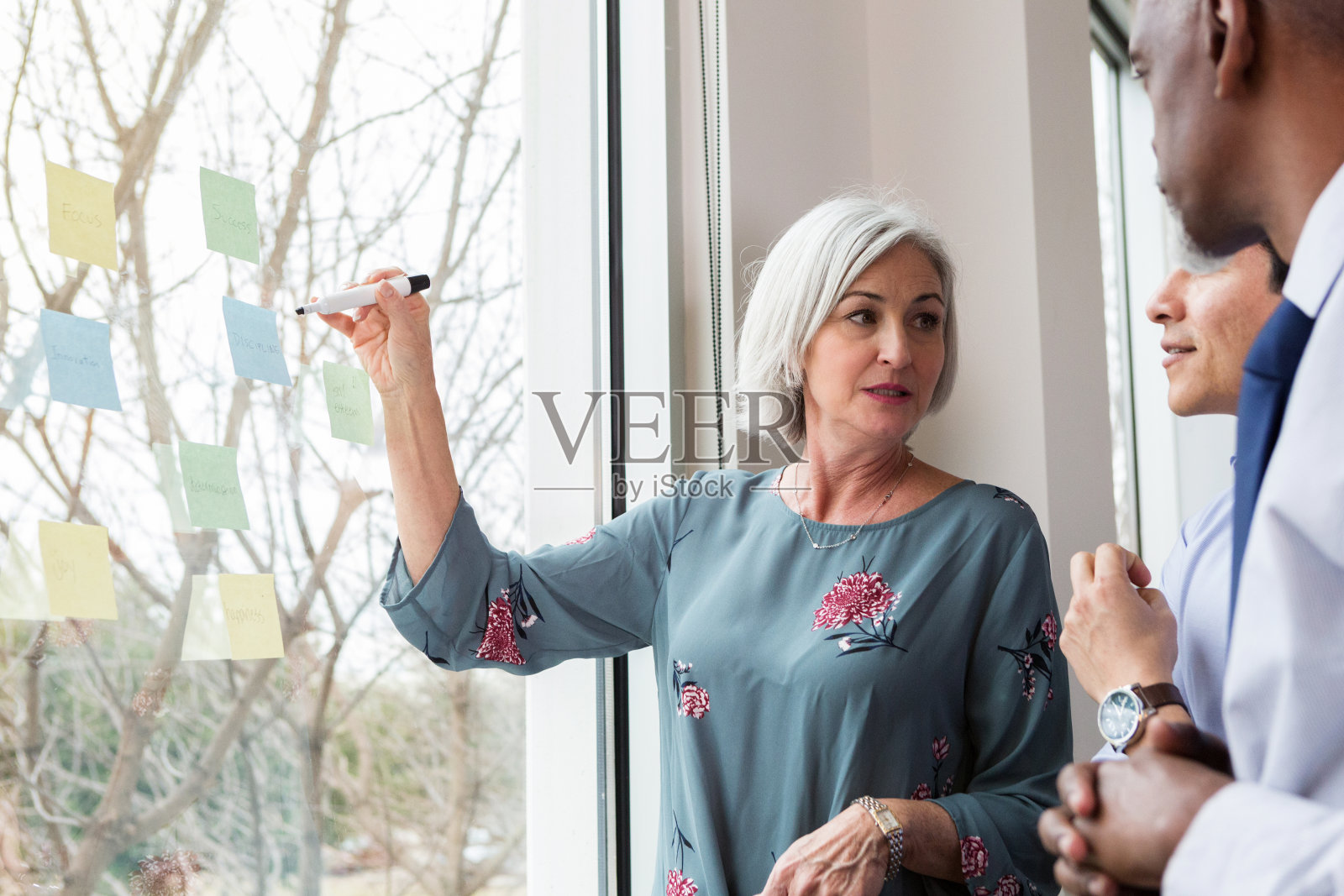 资深女商人领导头脑风暴会议照片摄影图片