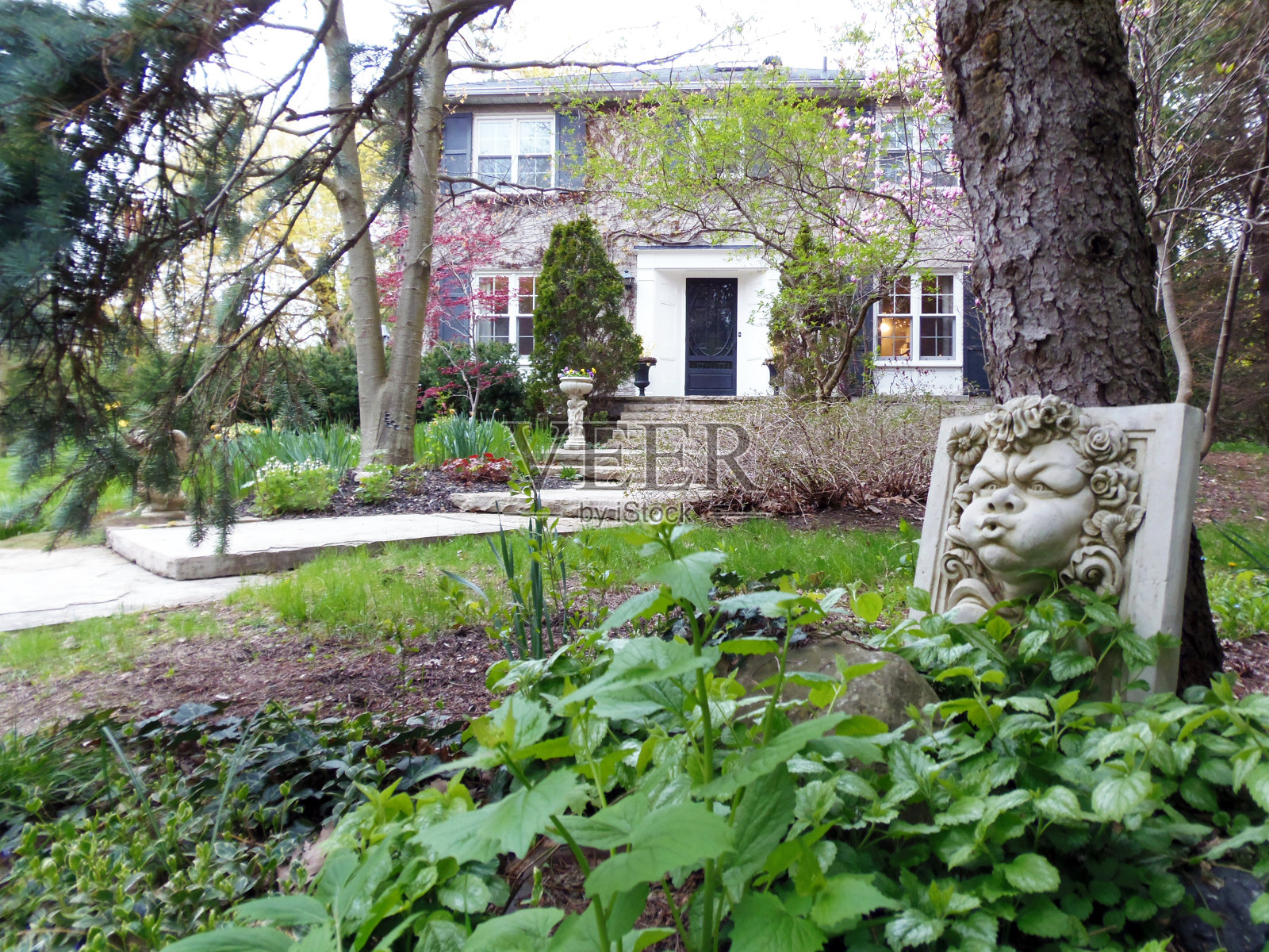 春天的房子照片摄影图片