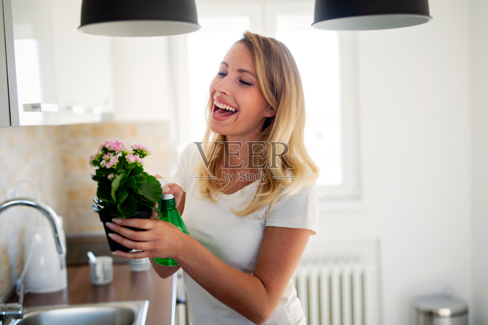 可爱的家庭主妇，花盆里有花照片摄影图片