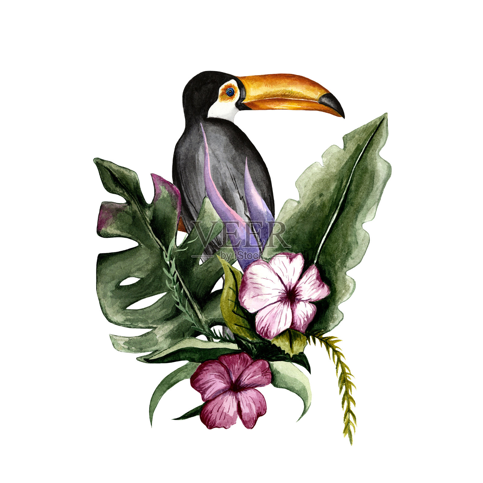 手绘水彩热带夏季插画图片素材