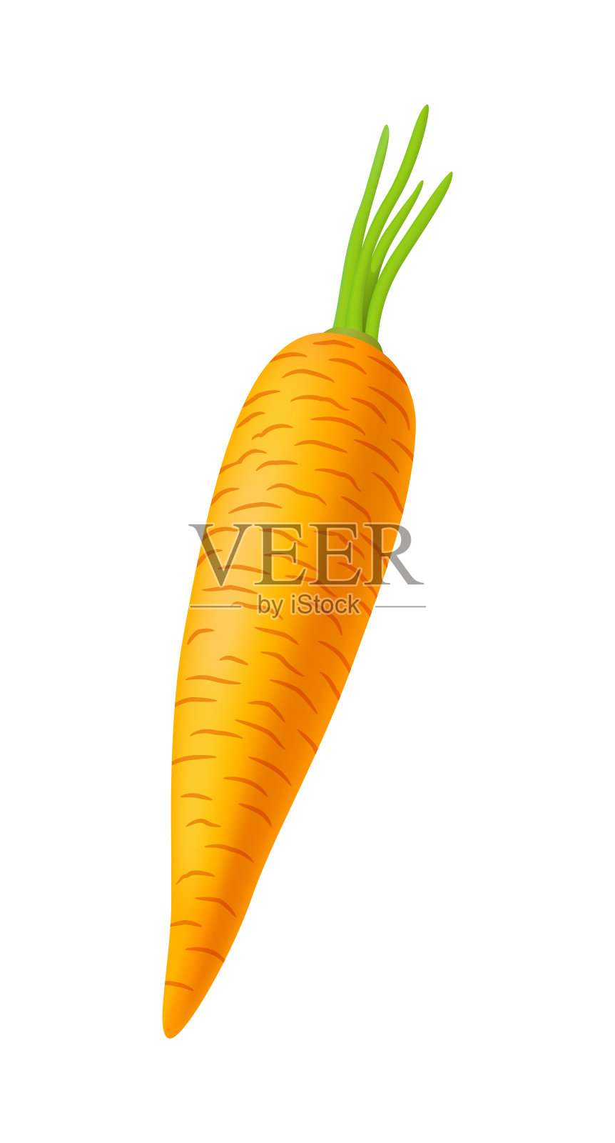 矢量半写实胡萝卜插图设计元素图片