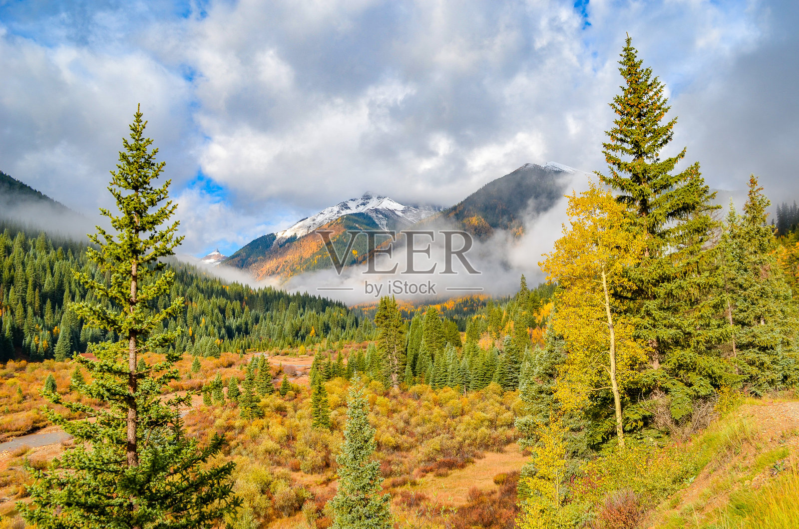 秋天的颜色随着科罗拉多州白杨树的变化而变化照片摄影图片