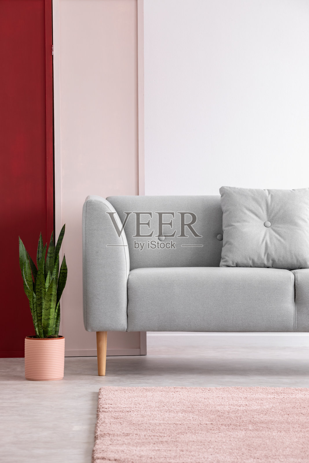 植物旁边的灰色沙发与垫子在红色和白色阁楼内部与粉色地毯。真实的照片照片摄影图片