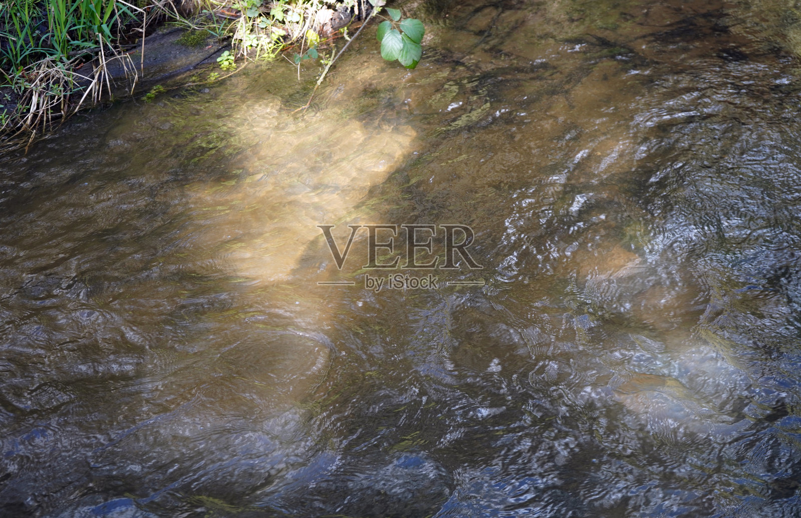 河流水面的特写镜头照片摄影图片