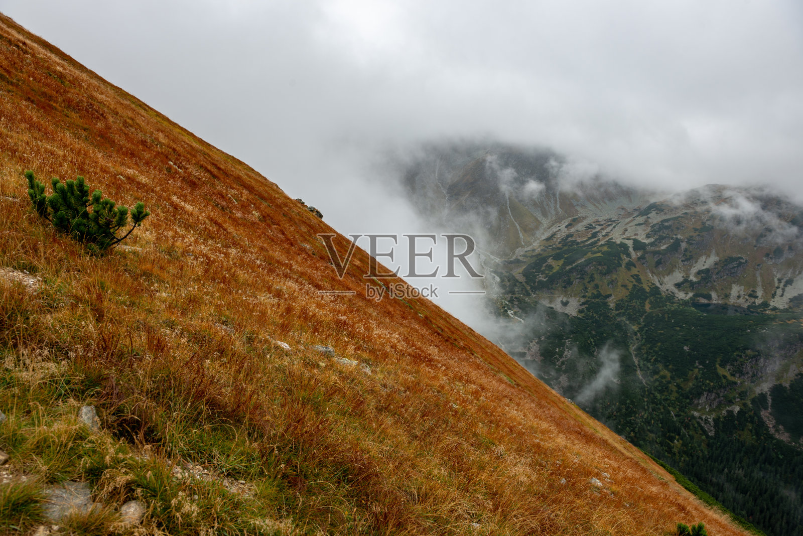 秋天斯洛伐克塔特拉山的旅游路线。多云的一天照片摄影图片