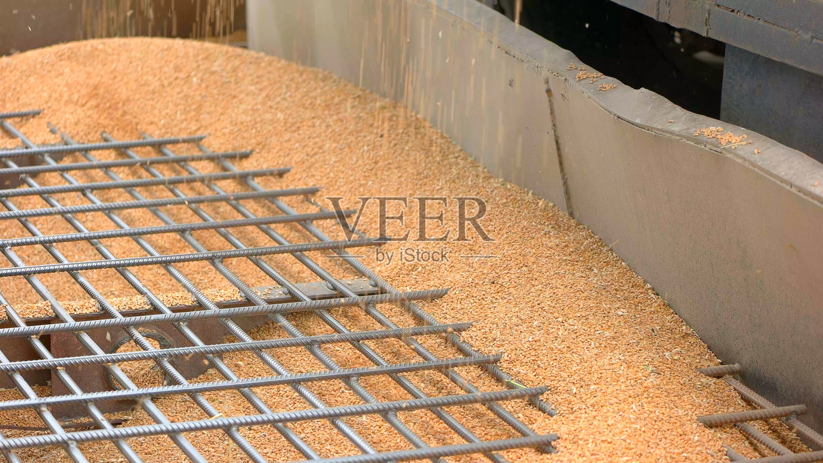 谷物在下降。照片摄影图片