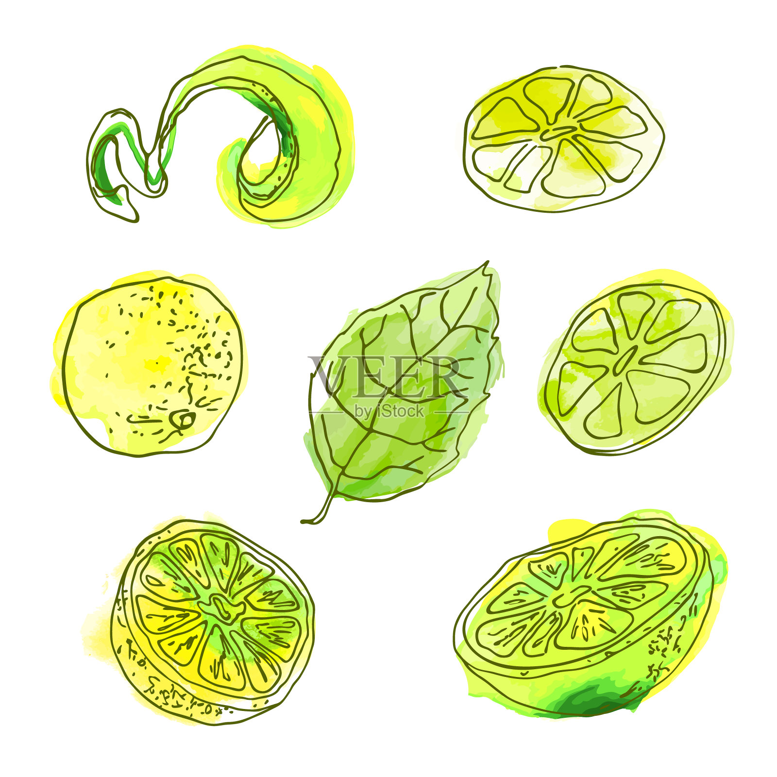 柠檬水果的向量集插画图片素材