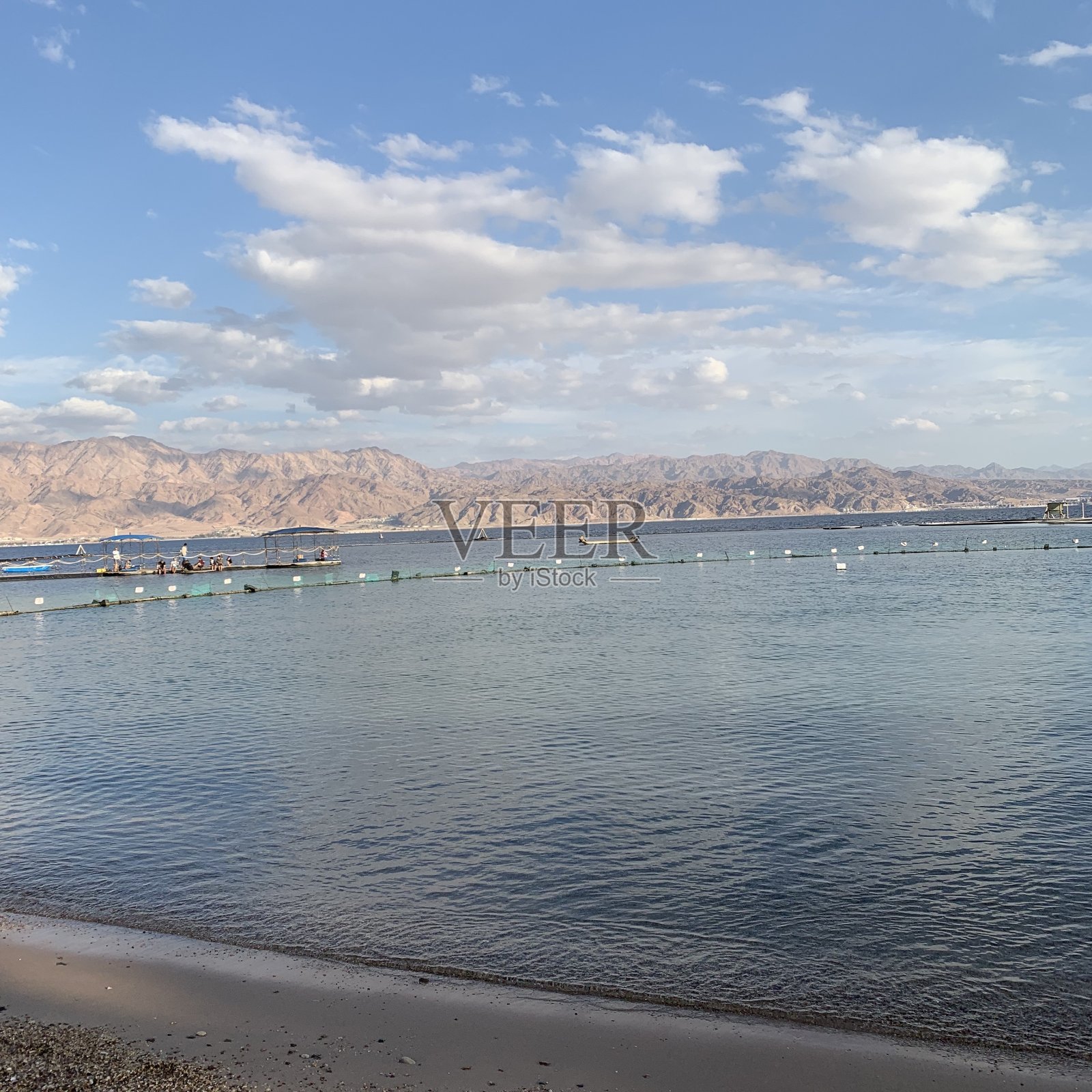 以色列埃拉特海豚礁照片摄影图片