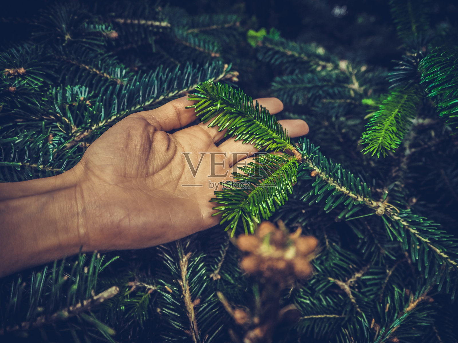 花园中心的女人照片摄影图片