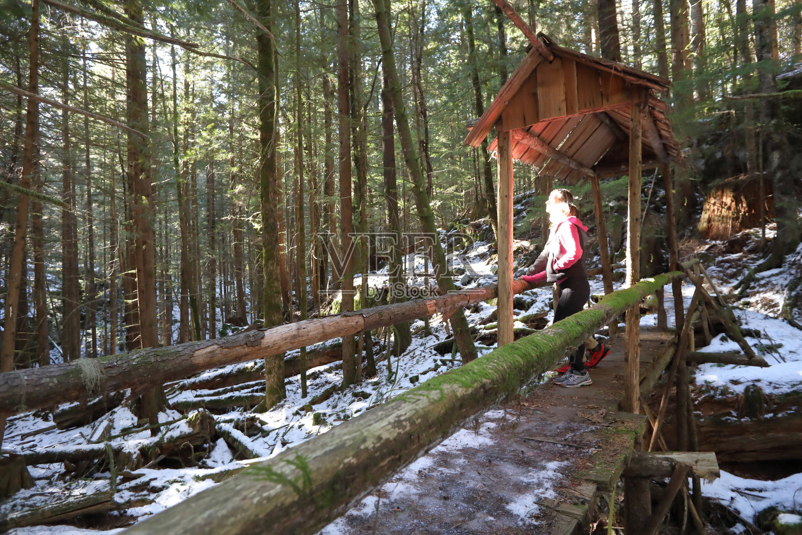 徒步旅行者在森林桥上休息照片摄影图片