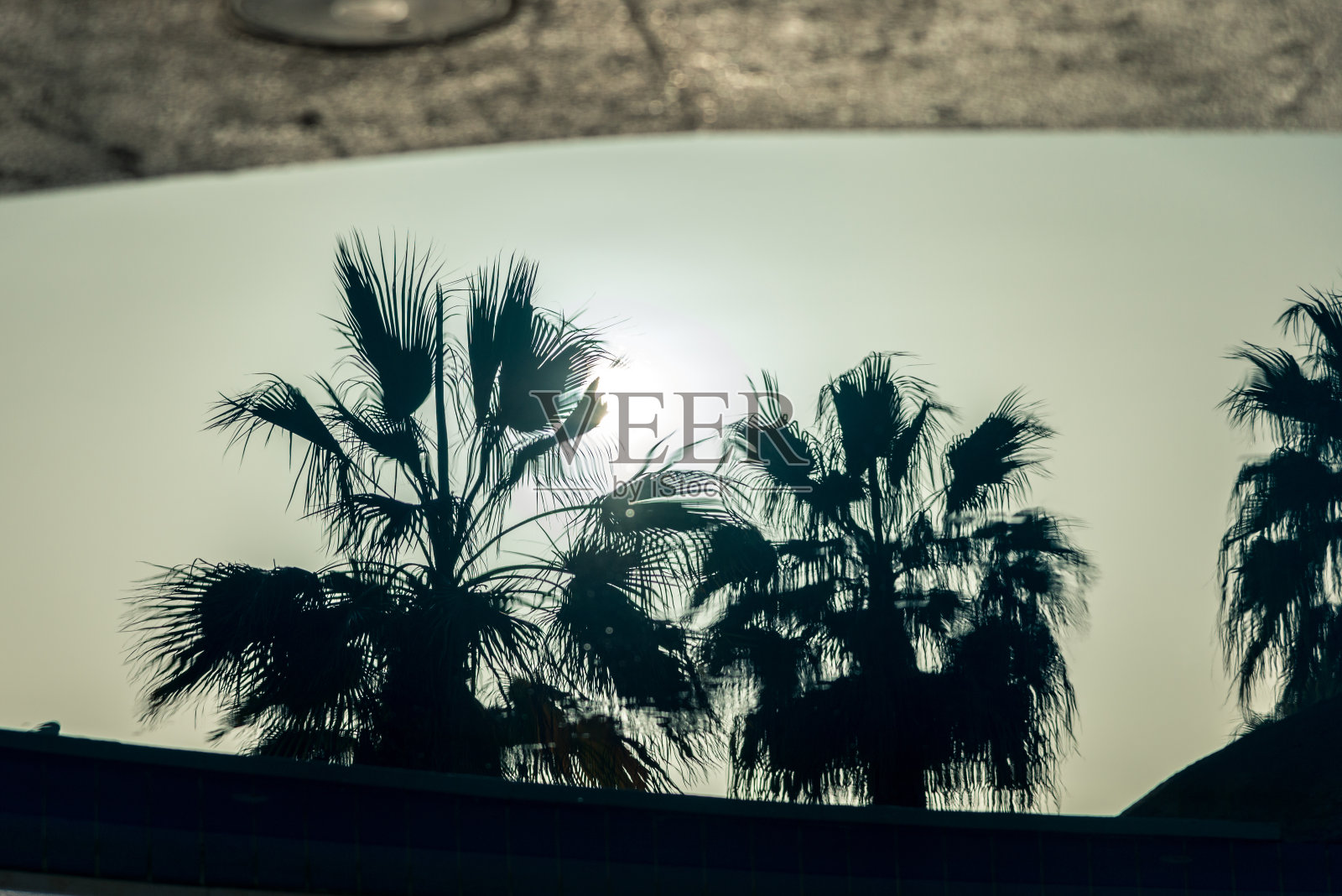 概念温暖的国度，倒影在水中的棕榈树。横向框架照片摄影图片