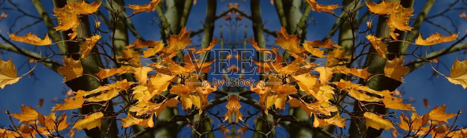 秋天的对称印象柏林施潘道，德国照片摄影图片