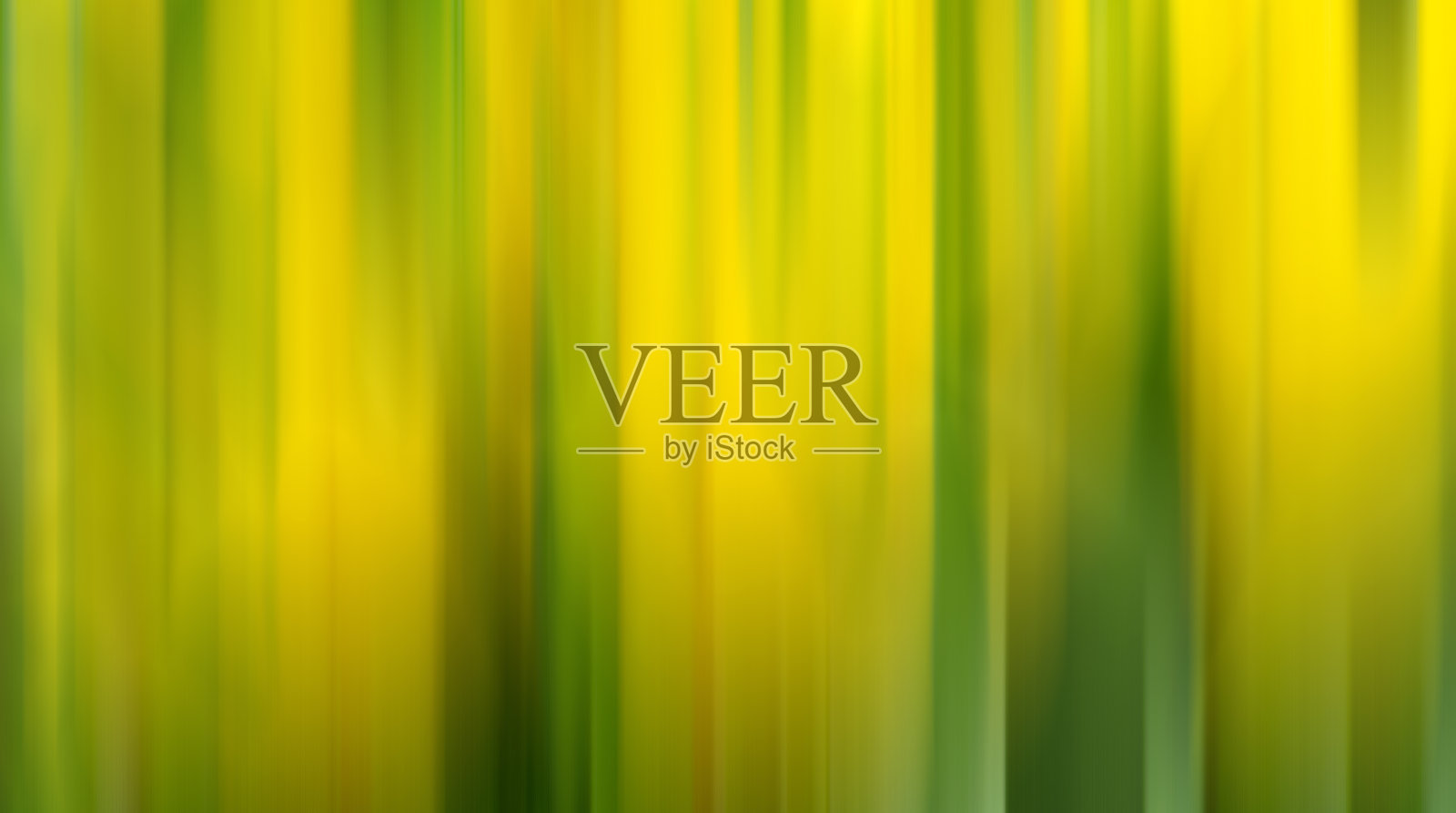 抽象的垂直绿线背景。照片摄影图片