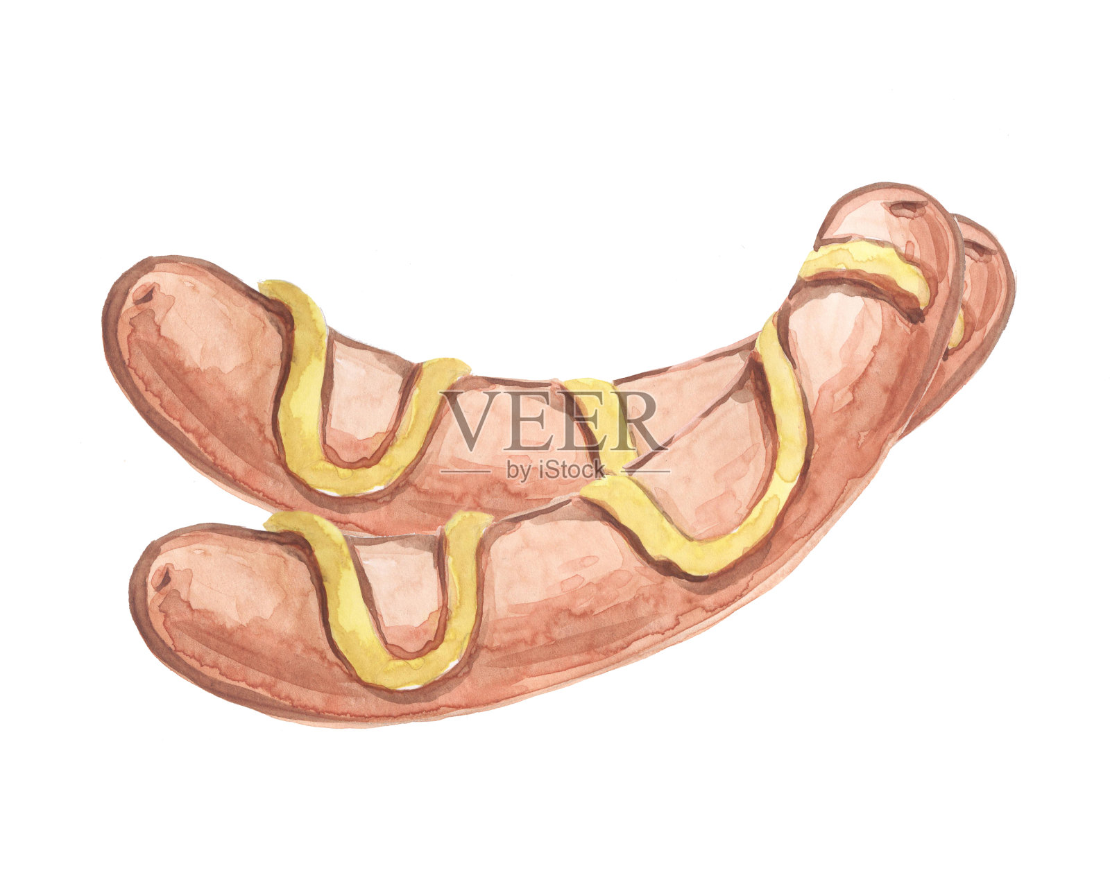 芥末香肠的水彩画插画图片素材
