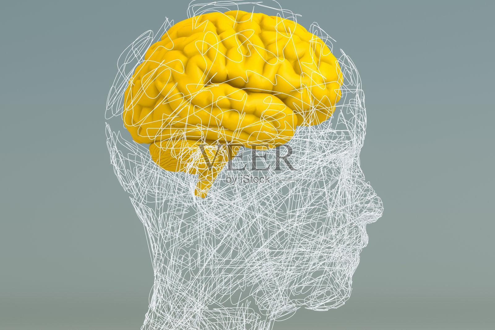 大脑，人工智能概念，有线形状的半机械人照片摄影图片