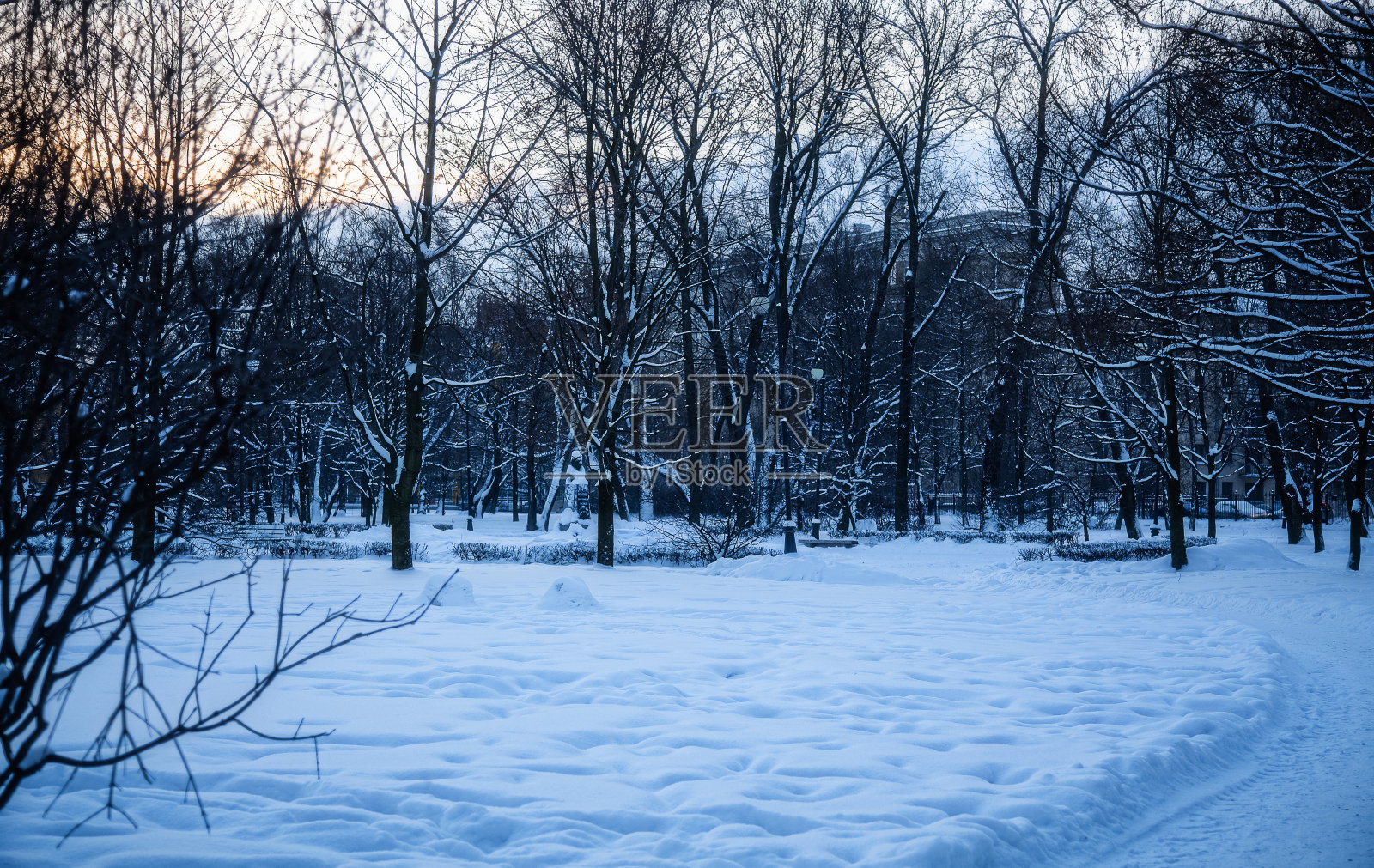 冬季景观——黎明时分的城市公园照片摄影图片